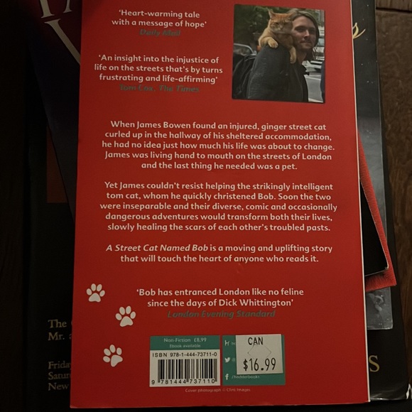 Cat and a street person - Picture 2 of 2